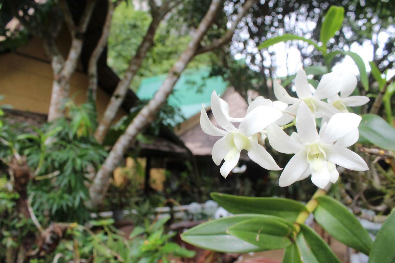 Cliffside Cottages El Nido Ngoại thất bức ảnh